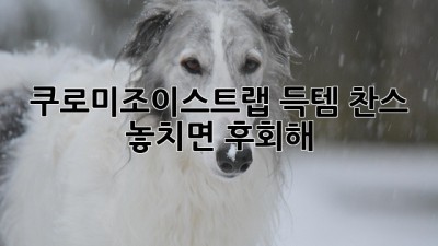 🖤 쿠로미조이스트랩 득템 찬스! 놓치면 후회해 😈