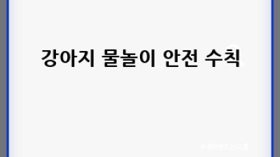 댕댕이 첫 물놀이: 완벽 가이드🐶💦