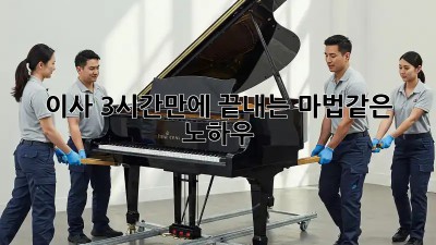 이사, 3시간만에 끝내는 마법같은 노하우! ✨