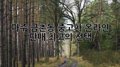 파주 금촌동 중고차 온라인 판매 최고의 선택